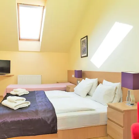 Apartmán Vlkova Palace
