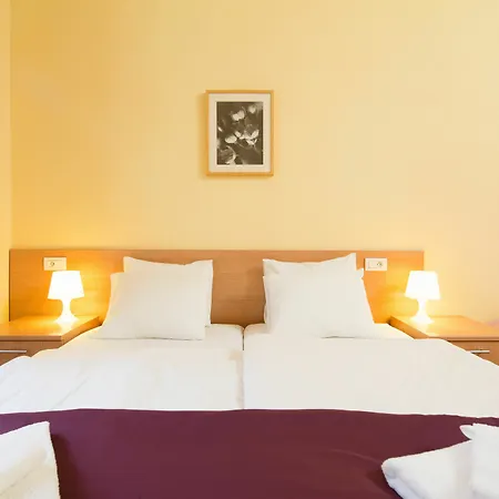 Vlkova Palace Apartmán *
