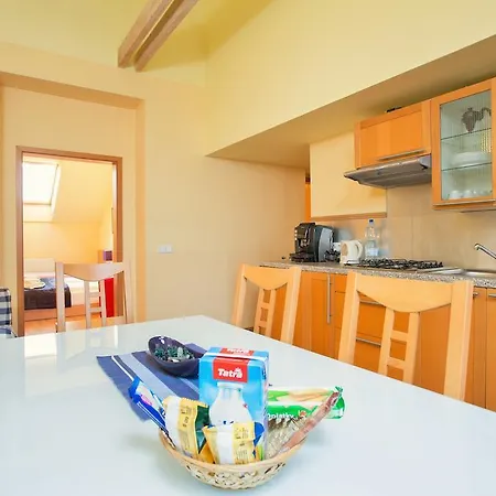 Vlkova Palace Appartement *